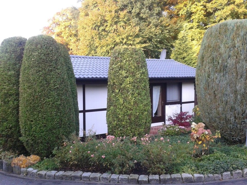 das Haus mit Vorgarten