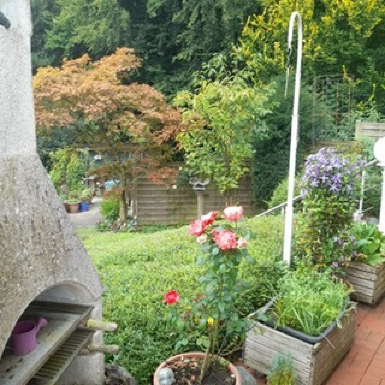 Blick von der Terrasse Blick von der Terrasse