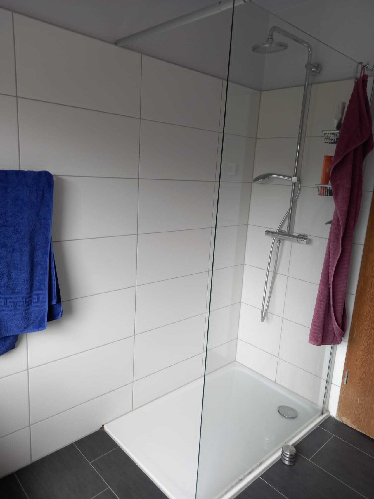 ebenerdige Dusche im Tageslichtbad ebenerdige Dusche im Tageslichtbad