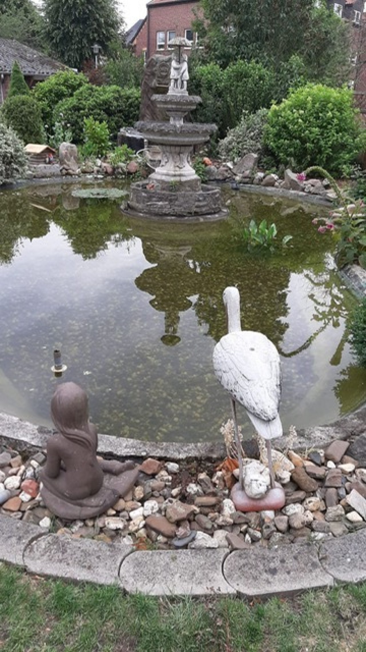 Teich Teich